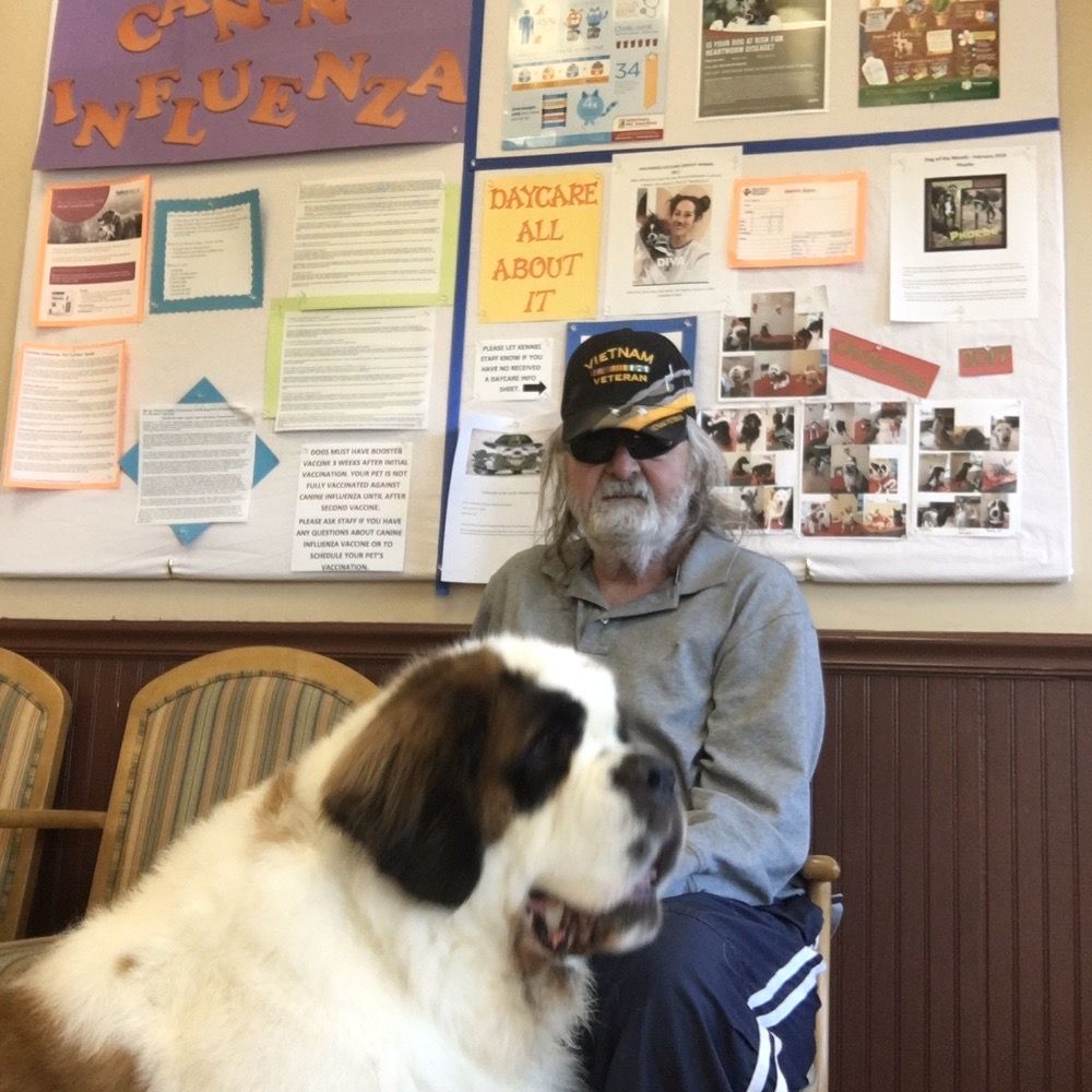 Slide of DeWitt Plumbing