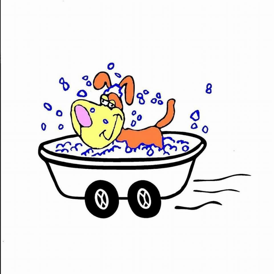 GROOMIN’ GROOMIN’ GONE Updated August 2024 Waukesha, Wisconsin Pet Groomers Phone Number