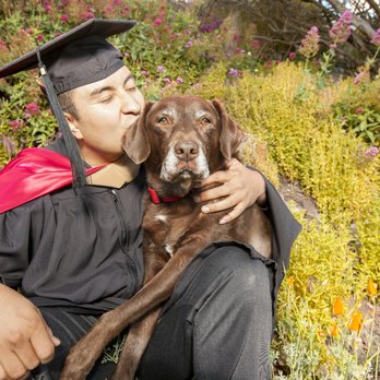 Hilarious Hound Pet Photography - Pet Photography Near Me Hilarious Hound Pet Photography - Pet Photography Near Me