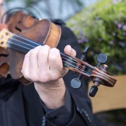 Kelly Productions - Gypsy Moon violinist Dave
