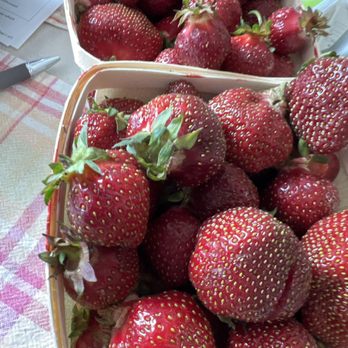 Lexington Co-op Markets - Local strawberries from Awald berry farm - Specialty Food Near Me - Buffalo, New York Lexington Co-op Markets - Local strawberries from Awald berry farm - Specialty Food Near Me - Buffalo, New York