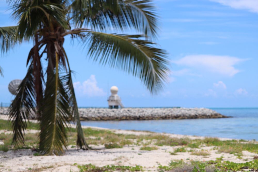 NAS KEY WEST TRUMAN ANNEX BEACH 19 Photos & 17 Reviews Palm Ave