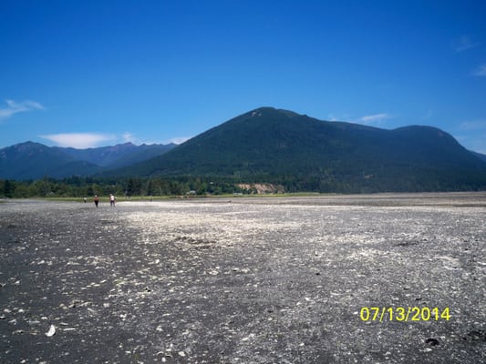 Dosewallips State Park by null