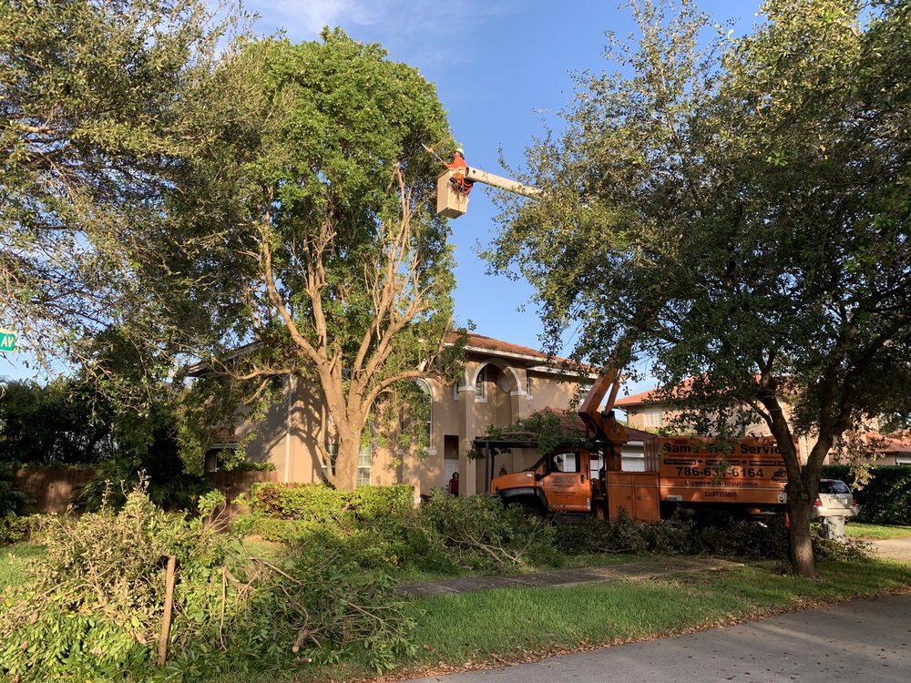 Sam’s Tree Service - tree service in Miami, FL