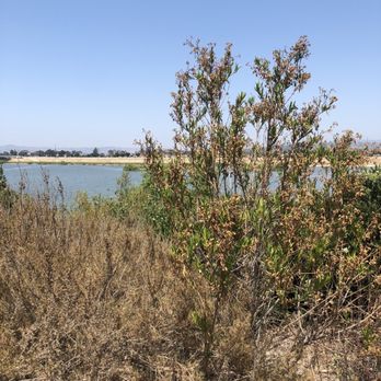 Anaheim Coves - Parks Near Me - Anaheim, California