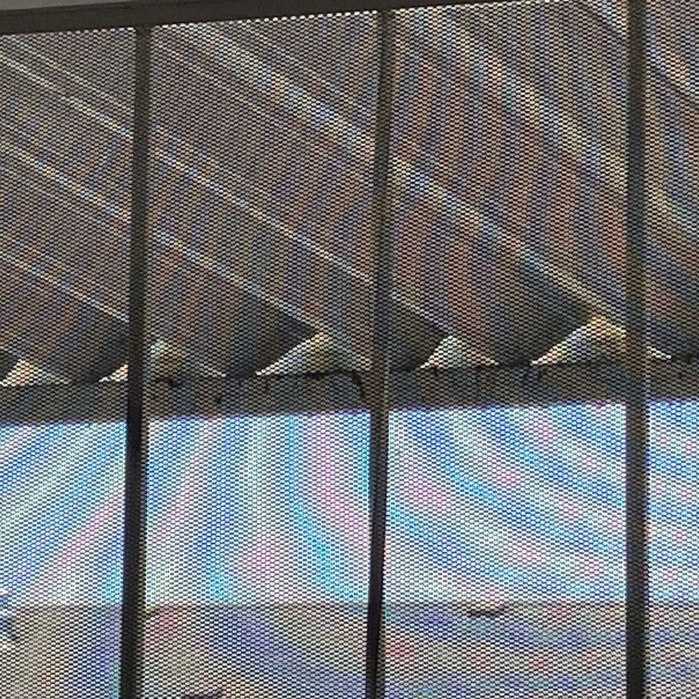 Squeaky Clean Solar - Webs coming out while in process of cleaning it with water - Solar Panel Cleaning Near Me