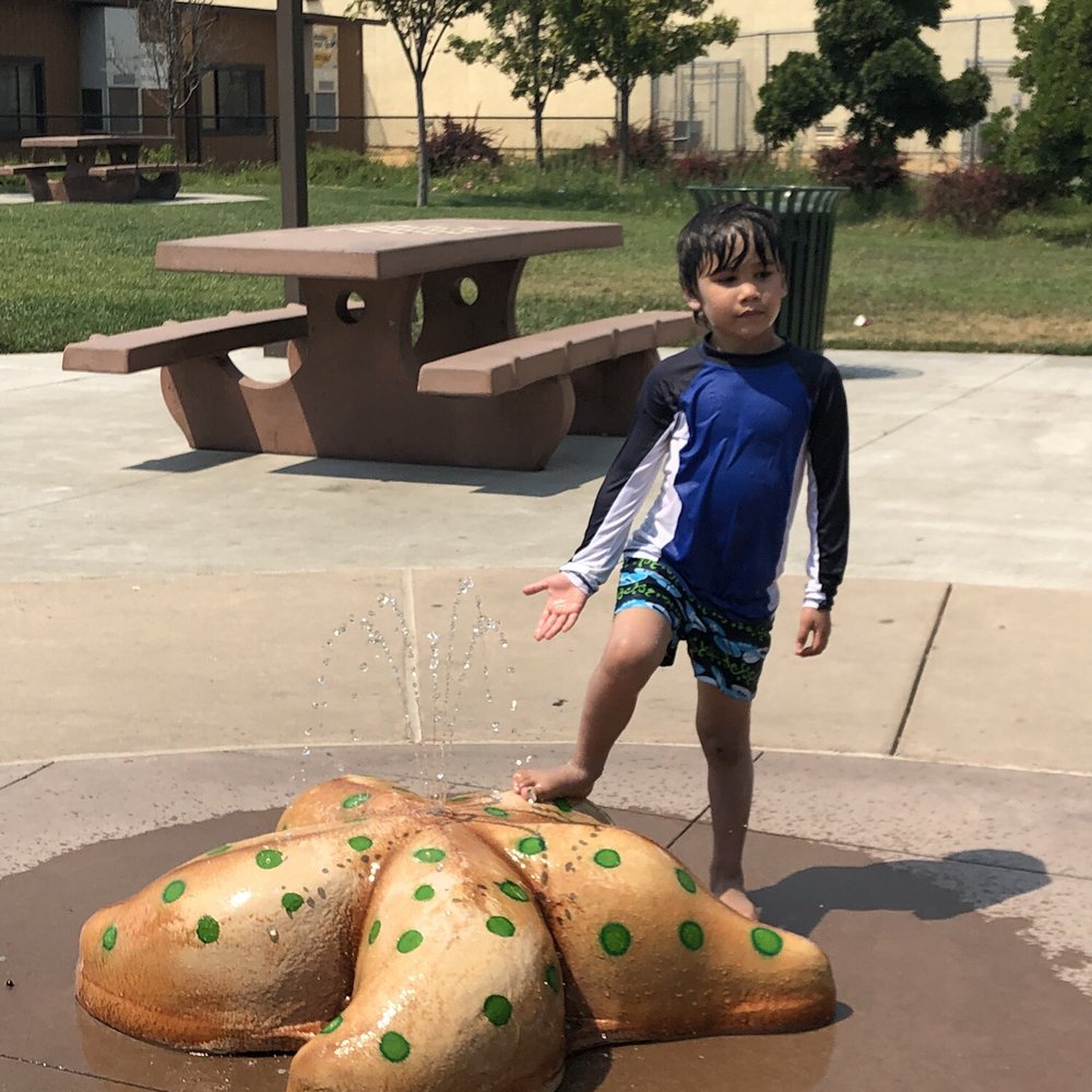 Meadow Homes Spray Park - Parks Near Me - Concord, California Meadow Homes Spray Park - Parks Near Me - Concord, California