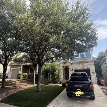 Daniel's Tree Trimming Service - Tree Services Near Me Daniel's Tree Trimming Service - Tree Services Near Me
