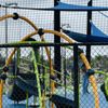 Sunrise Sportsplex gift card