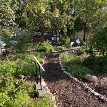 Native Wildflower Garden - Botanical Gardens Near Me - Key West, Florida
