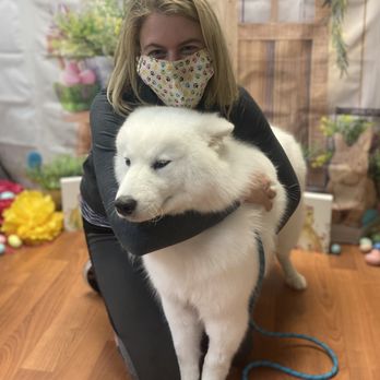 Premier Pet Services - Pet Groomers Near Me - Philadelphia, Pennsylvania