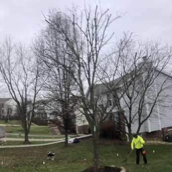 CJ's Tree Service - Tree Services Near Me - Pittsburgh, Pennsylvania CJ's Tree Service - Tree Services Near Me - Pittsburgh, Pennsylvania
