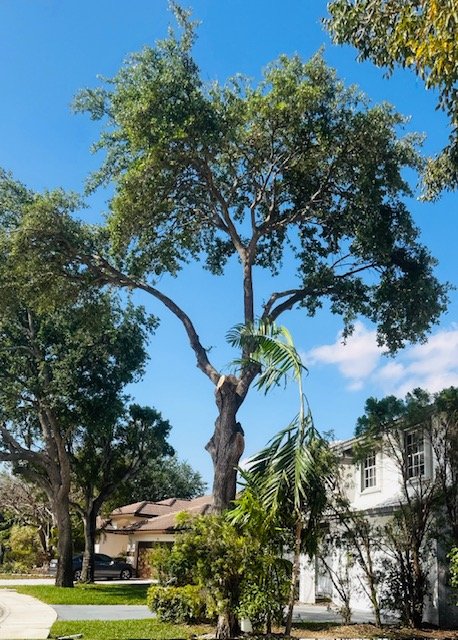 USS Lawn Care Services - veterans service organization in Davie, FL