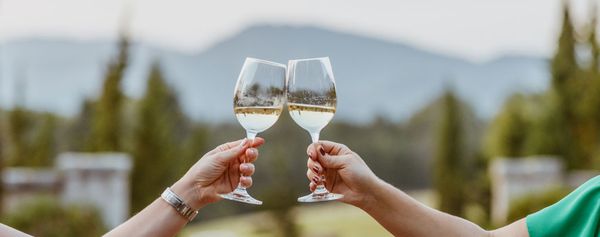 Pleasants Valley Estate Vineyards by null