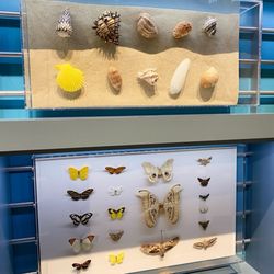 Cox Science Center & Aquarium