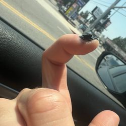 The Nail Salon - Gel polish doesn't work
