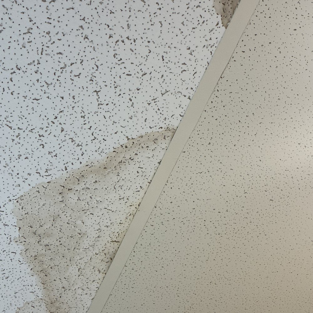 DBO Property Management - Leaking ceiling tht was supposedly fixed last week - Property Management Near Me - Albany, New York DBO Property Management - Leaking ceiling tht was supposedly fixed last week - Property Management Near Me - Albany, New York