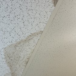 DBO Property Management - Leaking ceiling tht was supposedly fixed last week