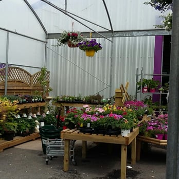 Hillmount nursery - Nurseries & Gardening Near Me - Bangor, NDN