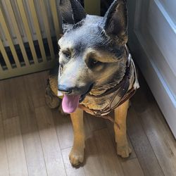 Polizei Museum - Kommissar Rex ist auch da