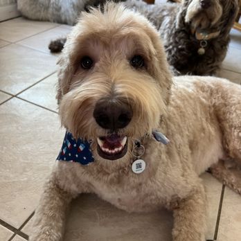 PrisSea Paws - Pet Groomers Near Me - Nokomis, Florida