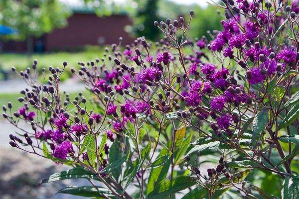 Indiana Dunes Visitor Center by null