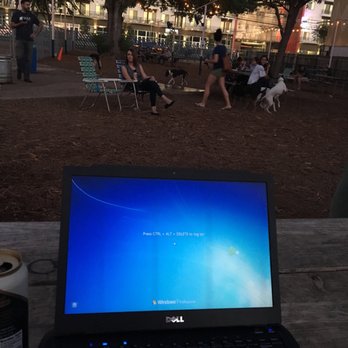 Yard Bar - Best place to do some homework while the pup tires herself out - Bars Near Me - Austin, Texas Yard Bar - Best place to do some homework while the pup tires herself out - Bars Near Me - Austin, Texas