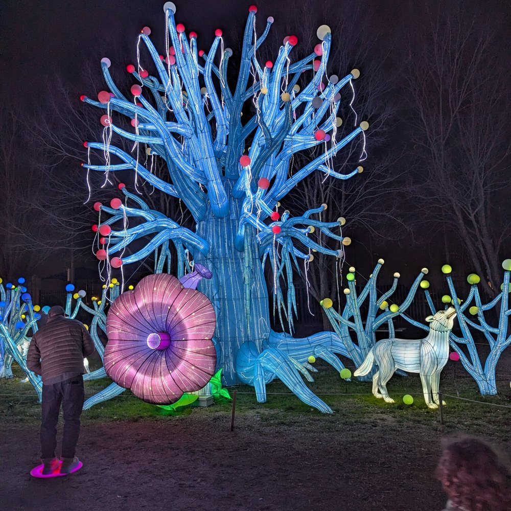 Chattanooga Zoo At Warner Park - Amusement Parks Near Me - Chattanooga, Tennessee