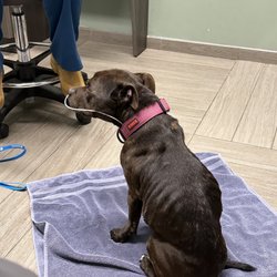 Okoboji Veterinary Hospital
