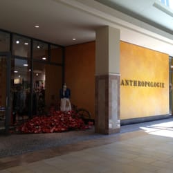 Anthropologie