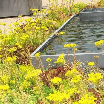 Lifesource Irrigation - Green With Fountain - Irrigation Near Me - New York, New York