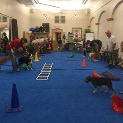 The Doggie Spot - Puppy recalls.