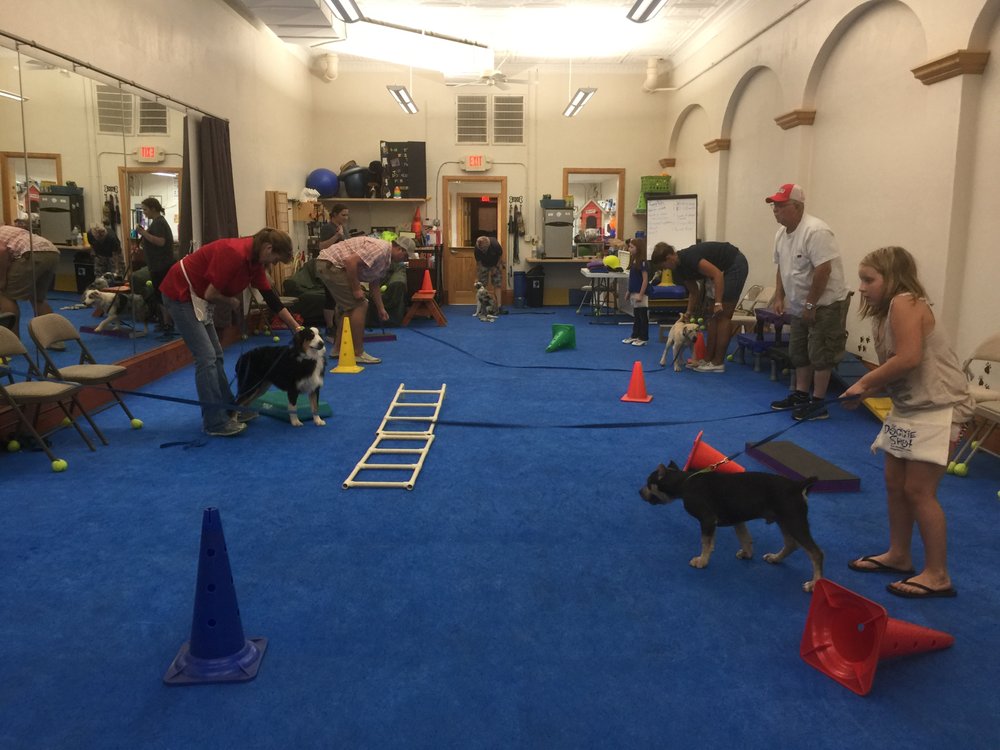 THE DOGGIE SPOT Pet Training 12A E Main, Shawnee, OK Phone Number Yelp
