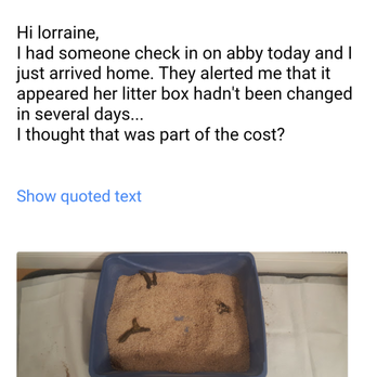 Doggie Au Pair - Dog Walkers Near Me