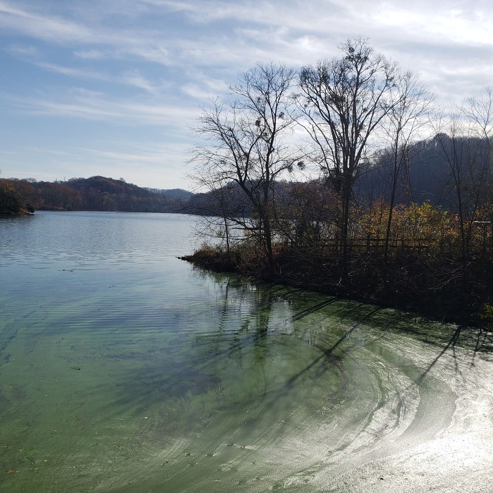 Radnor Lake State Park - Views - Parks Near Me - Nashville, Tennessee Radnor Lake State Park - Views - Parks Near Me - Nashville, Tennessee