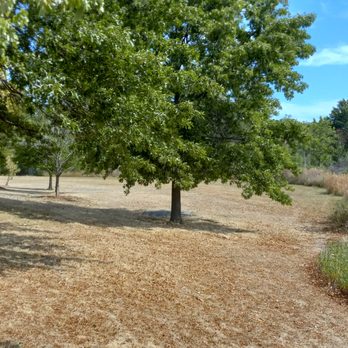 Danehy Park - Parks Near Me - Cambridge, Massachusetts