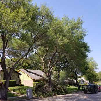JV Tree Service and Landscaping - Tons of limbs add dead wood - Tree Services Near Me