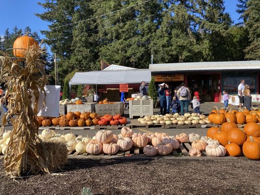 Fir Point Farms by null