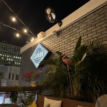 Cebada Rooftop - Wine Bars Near Me - Coral Gables, Florida