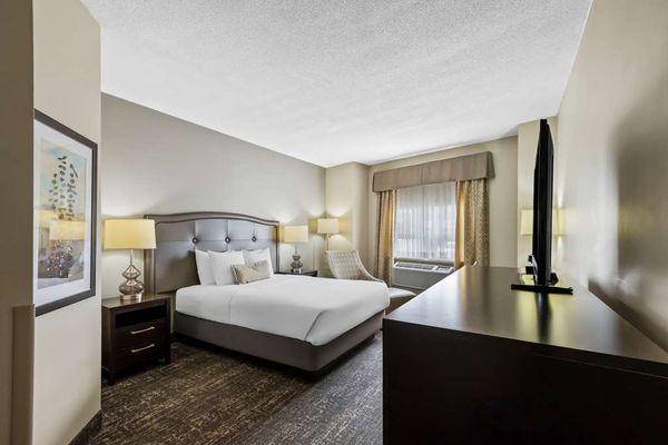 Best Western Swan Castle Inn by null