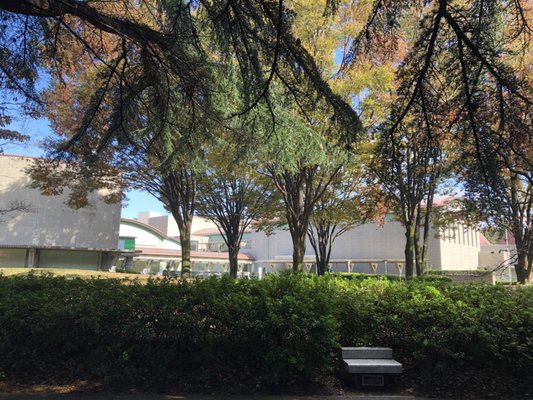 Setagaya Art Museum by null