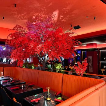 Red Phoenix Sushi and Authentic Asian Fusion - Dining Room - Asian Fusion Near Me - Palm Beach Gardens, Florida Red Phoenix Sushi and Authentic Asian Fusion - Dining Room - Asian Fusion Near Me - Palm Beach Gardens, Florida