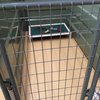 Camp Bow Wow - Pet Training Near Me - Boise, Idaho