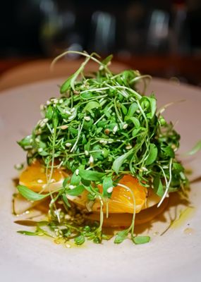 The Four Horsemen by null