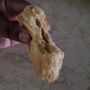 Le Bon Pate