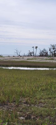 Botany Bay Heritage Preserve/Wildlife Management Area by null