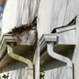 Photo of DS Gutter Cleaning Solutions