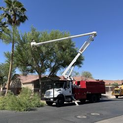 Tree Pros - Tree PROS had the right equipment and trained crew to tackle my giant trees.
