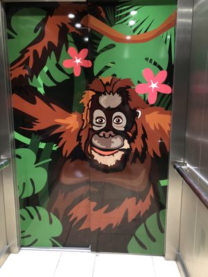 Horniman Museum and Gardens by null