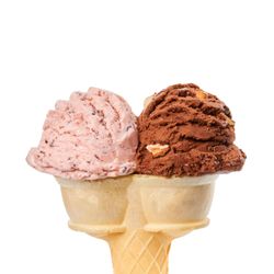 Snelgrove - Snelgrove Classic Twin Cone
